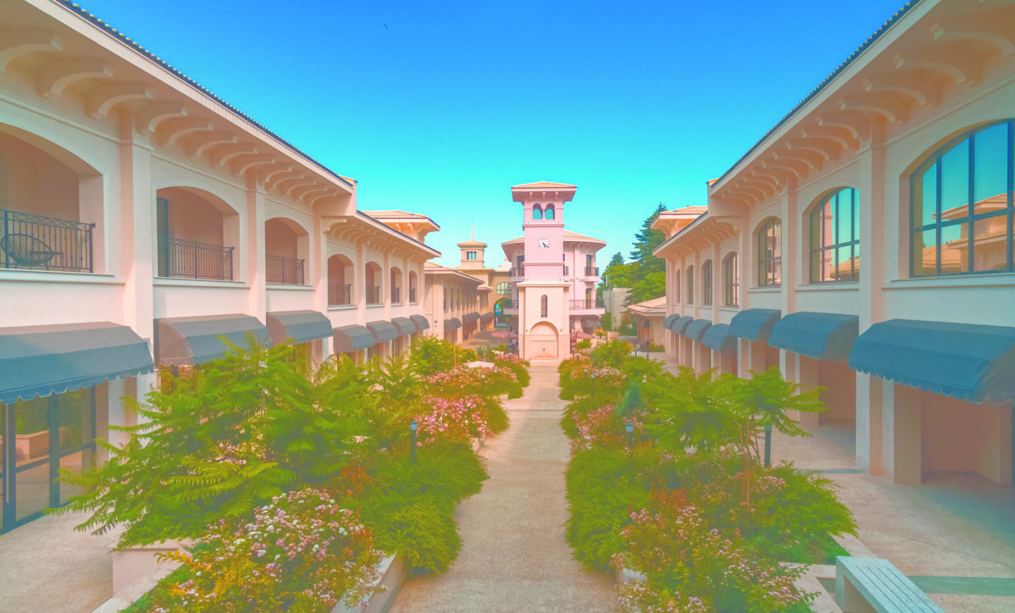 DJI_0093 edit.jpg