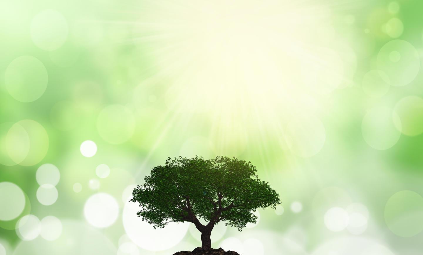 earthday